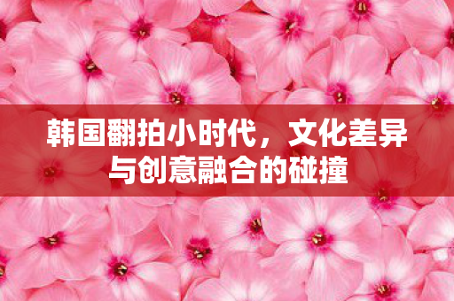 韩国翻拍小时代，文化差异与创意融合的碰撞