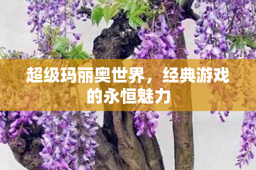 超级玛丽奥世界，经典游戏的永恒魅力