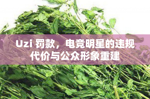 电竞明星的违规代价与公众形象重建图片