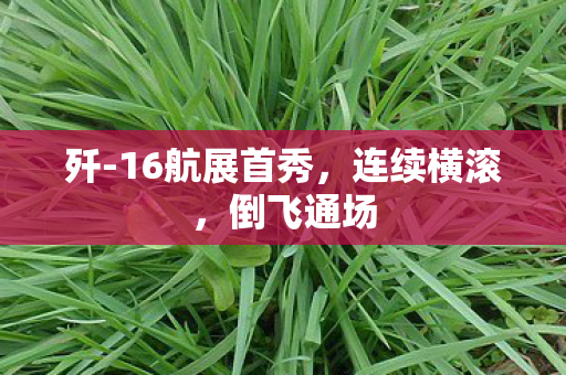 歼-16航展首秀，连续横滚，倒飞通场