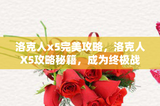 洛克人x5完美攻略，洛克人X5攻略秘籍，成为终极战士的秘诀