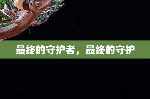 最终的守护者图片