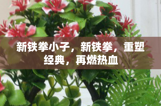 新铁拳小子，新铁拳，重塑经典，再燃热血