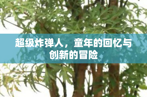 超级炸弹人，童年的回忆与创新的冒险