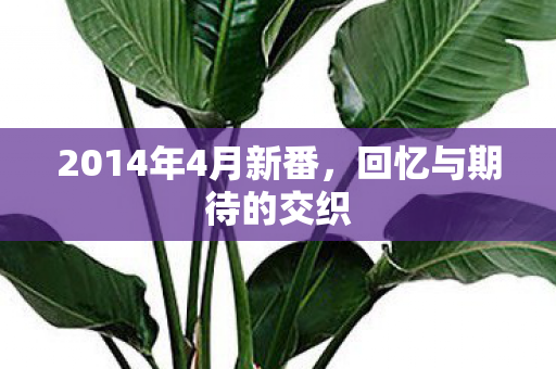 2014年4月新番，回忆与期待的交织
