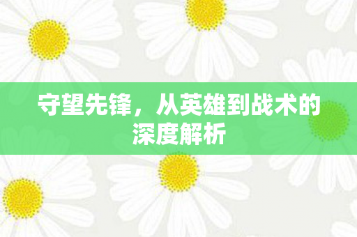 守望先锋，从英雄到战术的深度解析
