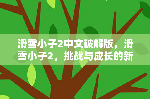 滑雪小子2中文破解版，滑雪小子2，挑战与成长的新篇章