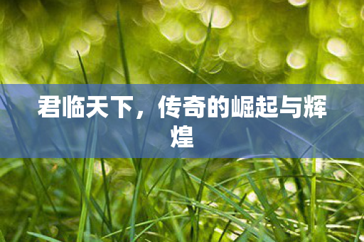 君临天下，传奇的崛起与辉煌