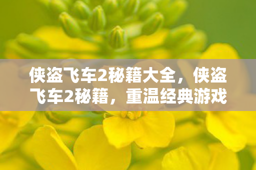 侠盗飞车2秘籍大全，侠盗飞车2秘籍，重温经典游戏的隐藏技巧与秘籍