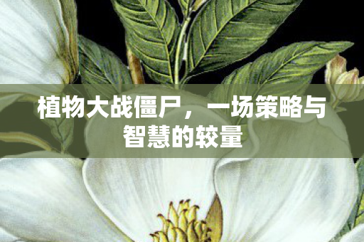 植物大战僵尸，一场策略与智慧的较量