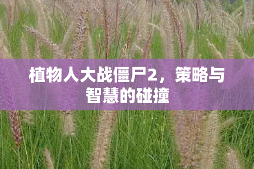 植物人大战僵尸2，策略与智慧的碰撞