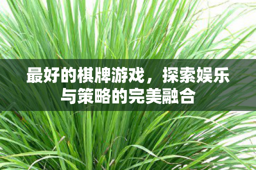 最好的棋牌游戏，探索娱乐与策略的完美融合