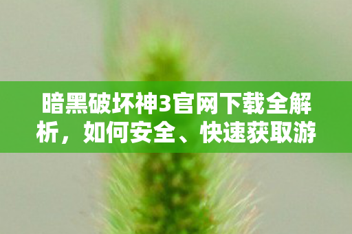 暗黑破坏神3官网下载全解析，如何安全、快速获取游戏客户端