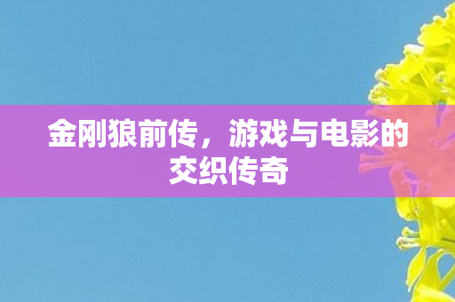 金刚狼前传，游戏与电影的交织传奇