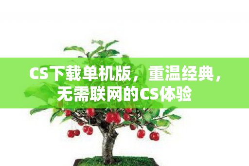 CS下载单机版，重温经典，无需联网的CS体验