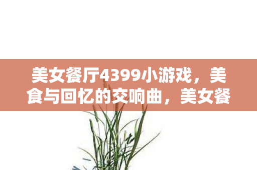 美女餐厅4399小游戏，美食与回忆的交响曲，美女餐厅4深度评测