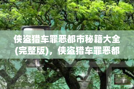 侠盗猎车罪恶都市秘籍大全图片