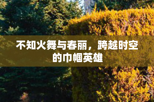 不知火舞与春丽，跨越时空的巾帼英雄