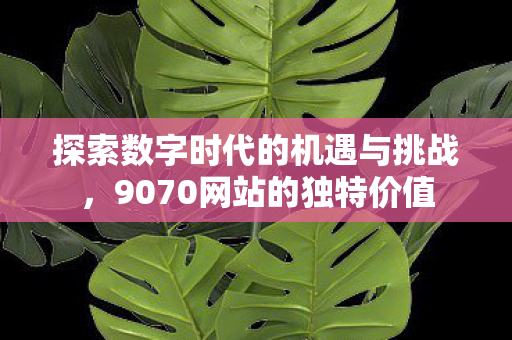 探索数字时代的机遇与挑战，9070网站的独特价值