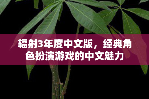 辐射3年度中文版，经典角色扮演游戏的中文魅力