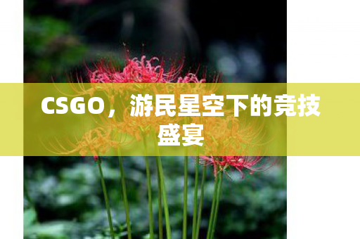游民星空下的竞技盛宴图片