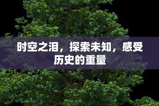 时空之泪，探索未知，感受历史的重量
