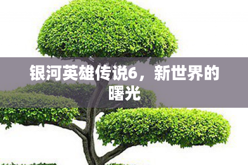 银河英雄传说6，新世界的曙光