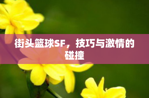 街头篮球SF，技巧与激情的碰撞