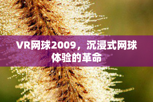 VR网球2009，沉浸式网球体验的革命