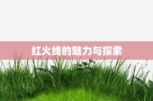 红火线的魅力与探索图片