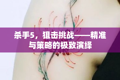 杀手5，狙击挑战——精准与策略的极致演绎