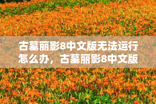 古墓丽影8中文版无法运行怎么办图片