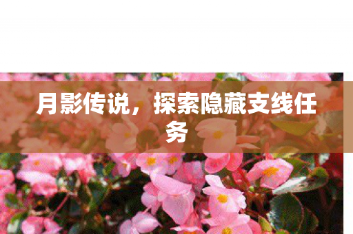 月影传说，探索隐藏支线任务