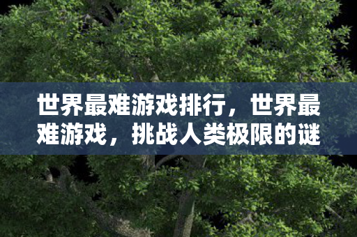 世界最难游戏排行，世界最难游戏，挑战人类极限的谜题