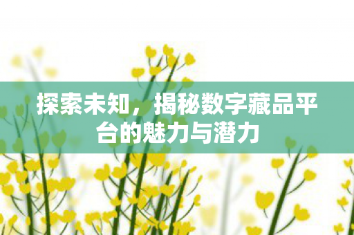 揭秘数字藏品平台的魅力与潜力图片