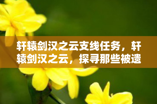 轩辕剑汉之云支线任务，轩辕剑汉之云，探寻那些被遗忘的支线故事
