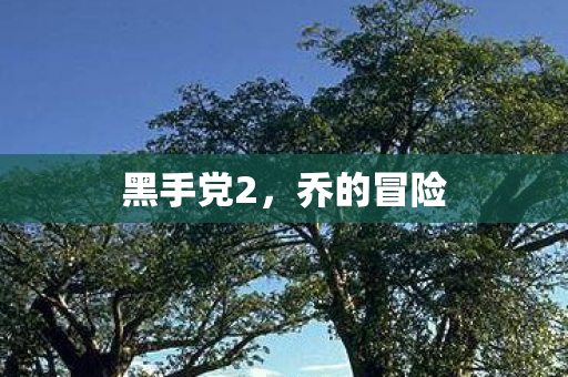 黑手党2图片