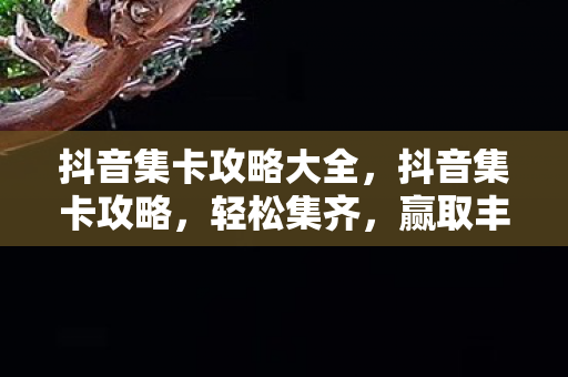 抖音集卡攻略大全，抖音集卡攻略，轻松集齐，赢取丰厚奖励！