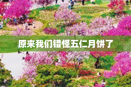 原来我们错怪五仁月饼了图片