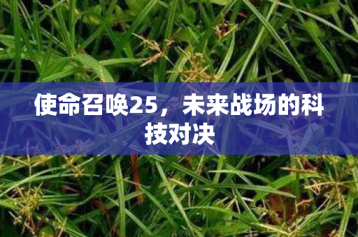 使命召唤25，未来战场的科技对决