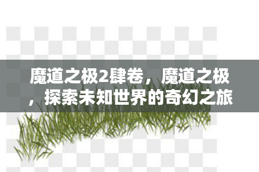 魔道之极2肆卷，魔道之极，探索未知世界的奇幻之旅