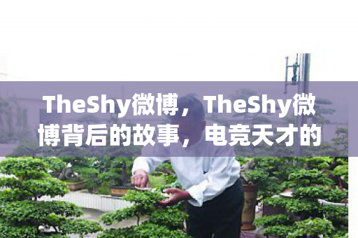TheShy微博，TheShy微博背后的故事，电竞天才的成长与坚持
