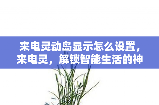 来电灵动岛显示怎么设置图片