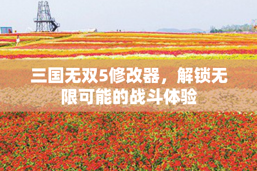 三国无双5修改器，解锁无限可能的战斗体验