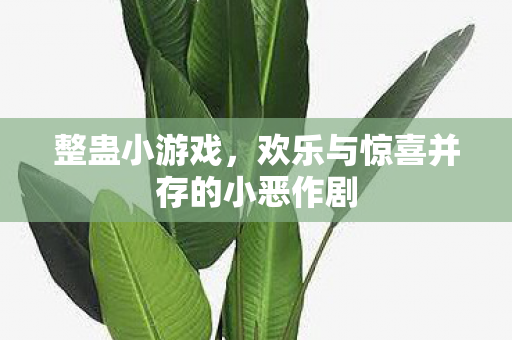 整蛊小游戏，欢乐与惊喜并存的小恶作剧
