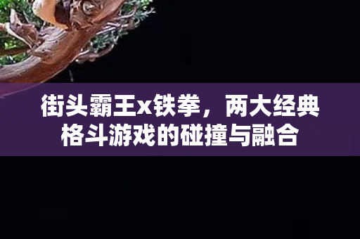 街头霸王x铁拳，两大经典格斗游戏的碰撞与融合