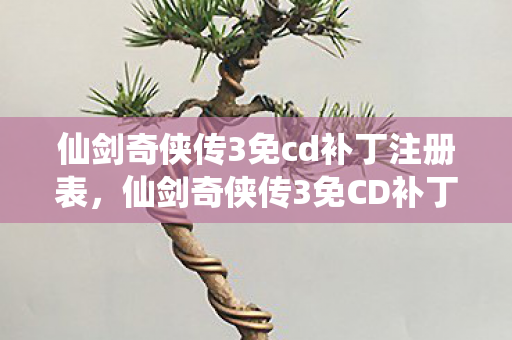 仙剑奇侠传3免cd补丁注册表图片