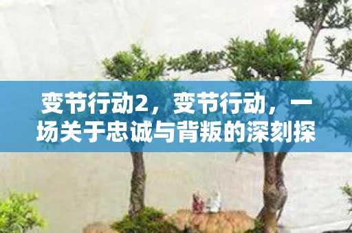 变节行动2，变节行动，一场关于忠诚与背叛的深刻探讨