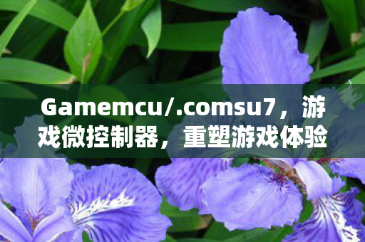 Gamemcu/.comsu7，游戏微控制器，重塑游戏体验的未来科技
