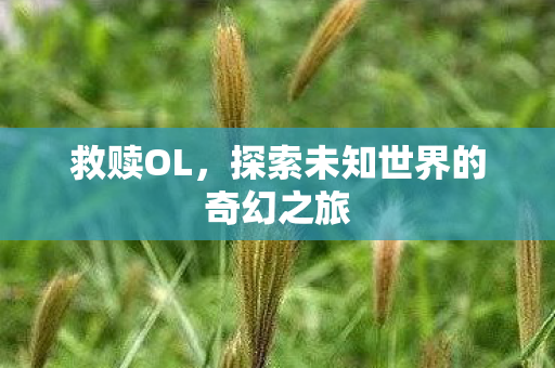 救赎OL，探索未知世界的奇幻之旅